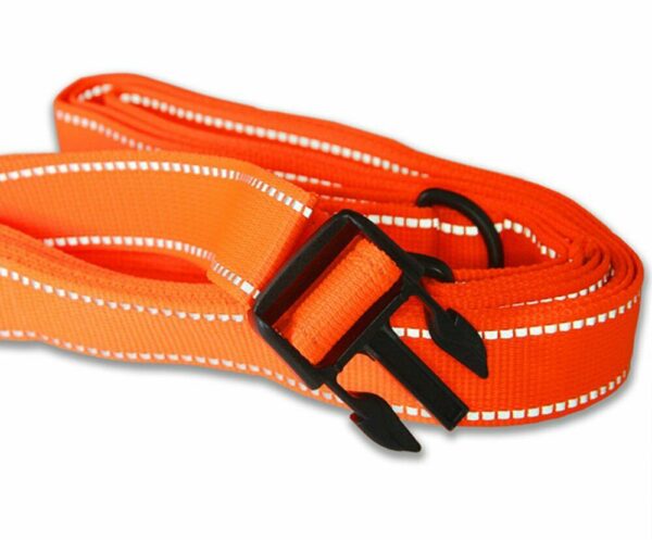 Secure Strap Set